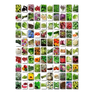 Siembra Tus Propios Vegetales + De 350 Variedades (3 X 1)