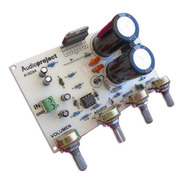 Modulo Amplificador Mono 100 Watts Con Pre - Audioproject