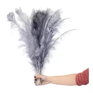 Plumas De Avestruz Palito Traje Passista Rainha Bateria 100g Cor Cinza