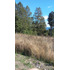 Parcela En Venta En Fresia 7.000.000m2