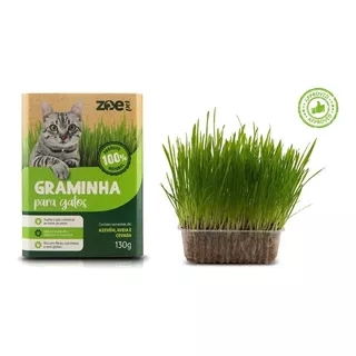 Graminha Para Gatos Zoe Pet Eliminação Pelos Digestao 130g