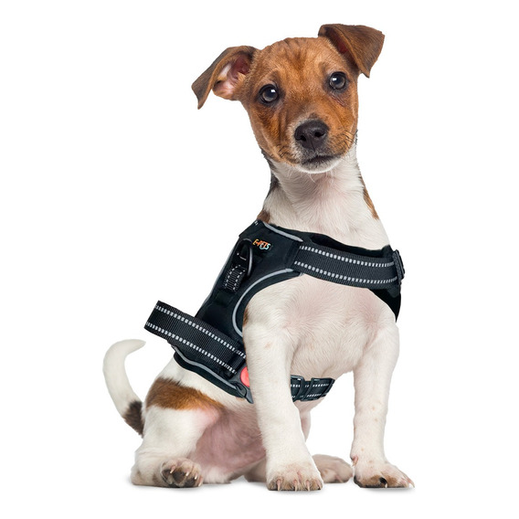 Pechera Arnes Seguridad Perro Raza Chica E-pets Ajustable