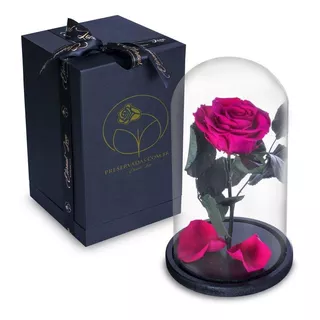 Rosa Encantada Rosa Eterna Na Cúpula De Vidro + Caixa Luxo