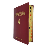 Bíblia De Estudo Pentecostal Média 14x21cm Vinho Índice Cpad