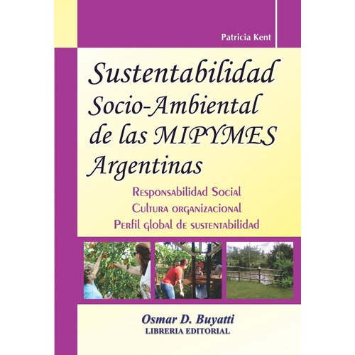 Sustentabilidad Socio Ambiental De Las Mipymes Argentinas