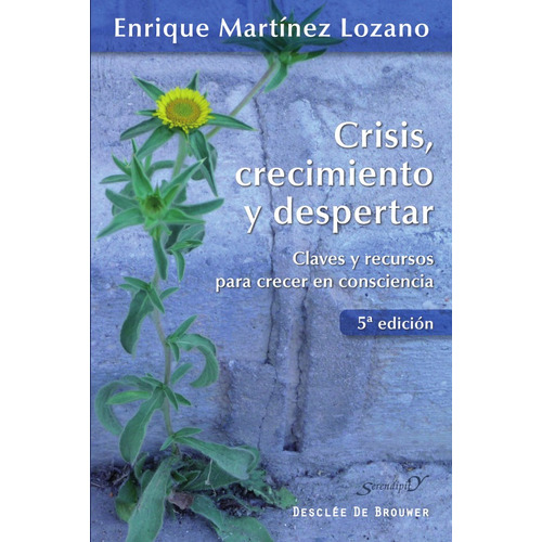 Crisis, Crecimiento Y Despertar, De Enrique Martínez Lozano