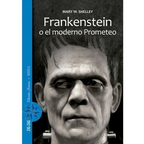 Frankenstein, De Mary Shelley. Editorial Zig-zag, Tapa Tapa Blanda En Español