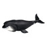 Bowhead Whale