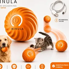 MINULA Bola Interativa Cães Recarregável Usb Brinquedo Cachorro Cão E Gato Bolinha
