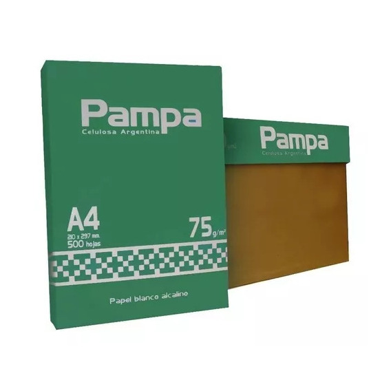 Kit 10 Resma A4 Pampa 500 Hojas 75gr Papel Blanco Caja