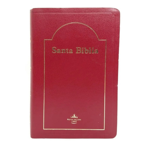 Biblia Reina Valera 1960 Con Concordancia Bordo Canto Dorado