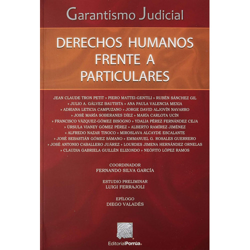 Derechos Humanos Frente A Particulares, De Silva García, Fernando. Editorial Porrúa México, Tapa Blanda En Español, 2018