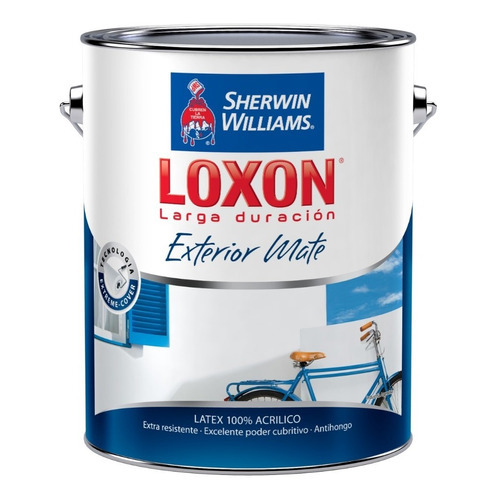 Pintura Loxon Latex Exterior Blanco Mate X 4 Lt Mapache