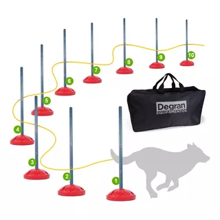 Kit 10 Zig Zag Para Adestramento De Cachorro - Agility