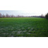 Se Venden Parcelas  Agroindustrial En Panamericana 5 Sur
