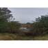 Industrial En Venta En Mariquina