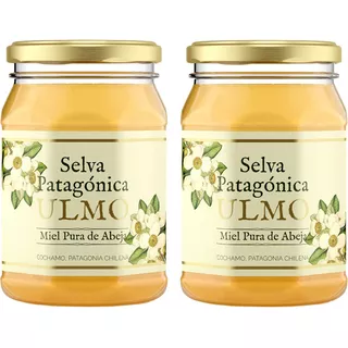 Miel De Ulmo Selva Patagónica, Pack 2 Kg.