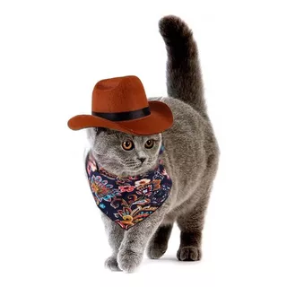 Sombrero Vaquero Para Gatos