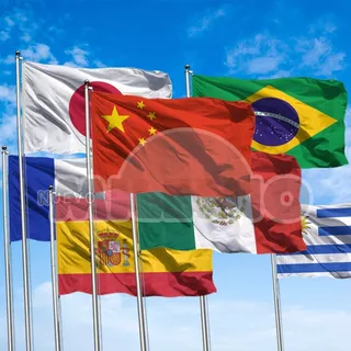 Banderas De Flameo De Todos Los Países 90x150 