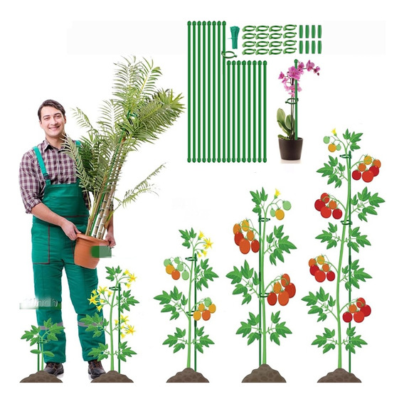 60 Estacas Para Plantas Para Flores, Soporte Para Plantas De