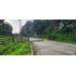 Venta Parcela Robles De Pilauco Osorno (127903)