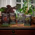 Bloomburrow Commander Deck Bundle 4 Cubiertas Magic The Gath Nombre De La Carta Intercambiable Idioma