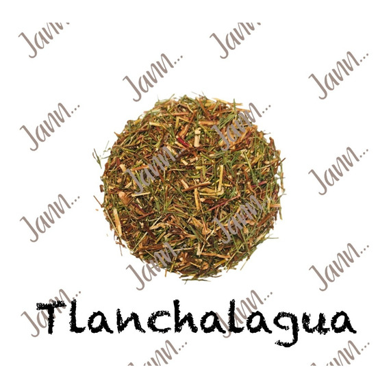 Tlanchalagua Té, 100% Natural Puro, Planta Medicinal 500g.