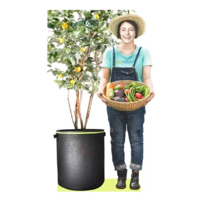 Maceta Para Arboles Frutales 1 Pza 80 Litros Maceta Grande 