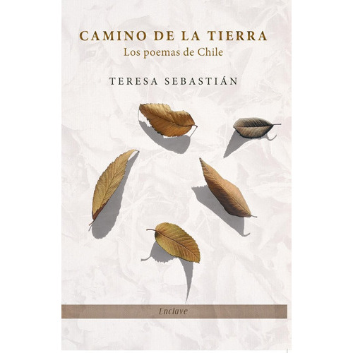 Camino De La Tierra, De Sebastian, Teresa. Editorial Enclave De Libros, Tapa Blanda En Español