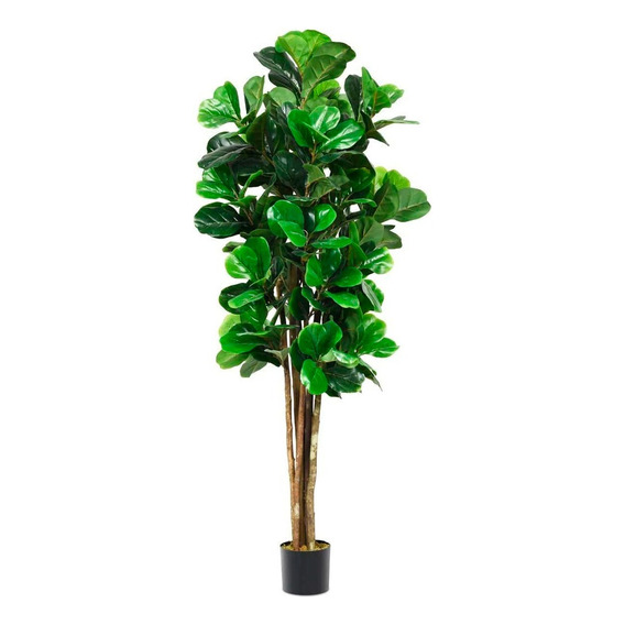 Arbol Ficus Pandurata Artificial 1.5m Con Maceta Vanlig®