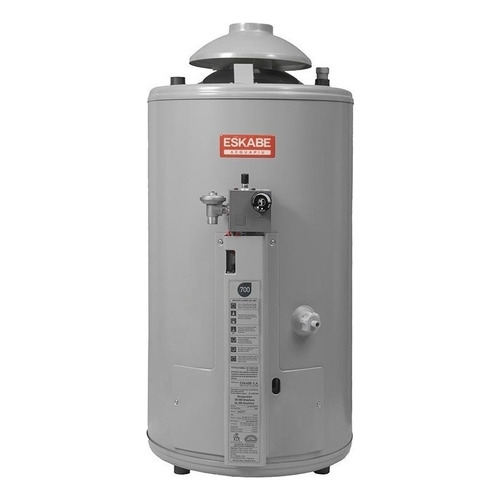 Termotanque multigas Eskabe Acquapiú A4 700 SV M gris plata 40L