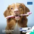 Pasta De Dientes Para Perro Y Gato Virbac Cepillo Sabor Menta
