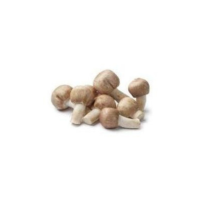 Kit De Cogumelo Cogumelo Do Medicinal - Agaricus Blazei