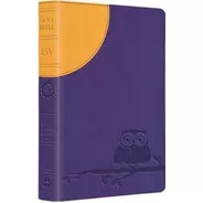 Compact Bible Esv Moonlight Owl Purple Yellow