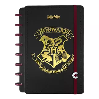 Caderno Inteligente Harry Potter Ci De Disco Tamanho A5