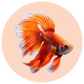 PECES
