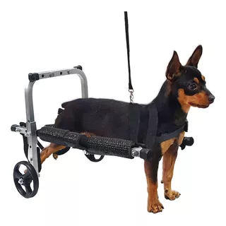 Mini Cadeira De Rodas Cão Cachorro Gato Pequeno Port Até 4kg