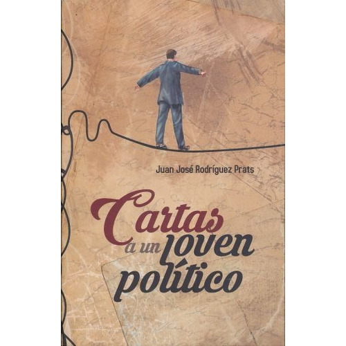 Libro Cartas A Un Joven Politico *cjs