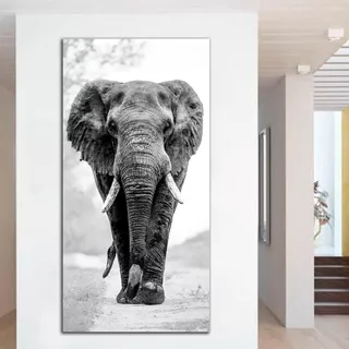 Cuadro Decorativo Elefante Blanco Y Negro (120x60 Cm)