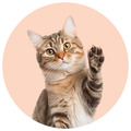 GATOS