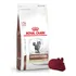 Alimento Royal Canin Gato Gastrointestinal 2 Kg