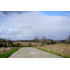 Terreno 5.000 M2 En Venta En Paillaco