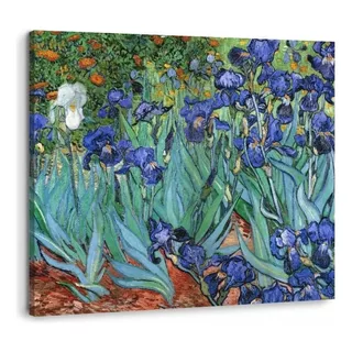 Cuadro Flores Iris De Van Gogh En Lienzo Canvas Con Bastidor Color Multicolor