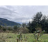 Terreno Con Vista Al Lago Ranco.