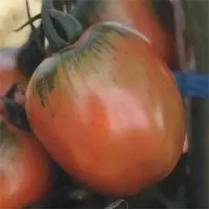 150 Sementes De Tomate Santa Cruz Kada Gigante Frete Grátis!