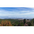 Bucalemu - Parcelas De 5000 Mt2 Con Vista Al Mar