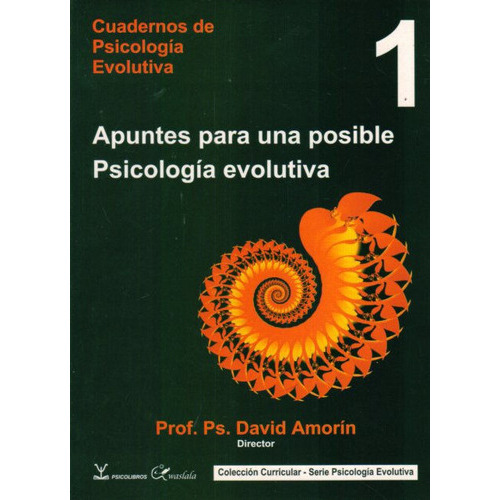 Psicología Evolutiva Tomo 1,2,3, De David Amorín. Editorial Psicolibros, Tapa Blanda En Español