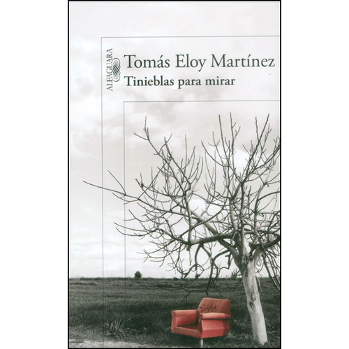 Tinieblas Para Mirar, De Tomas Eloy Martinez, Tomas Eloy Martinez. Editorial Alfaguara, Tapa Blanda, Edición 2014 En Español, 2014