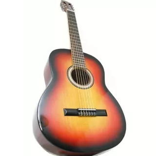 Guitarra Electro Acustica Criolla Funda Pua Garantia Colores
