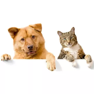 Ahuyenta Espanta Erradica Perros Gatos Ultrasónico